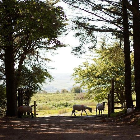 Wheal Tor Hotel & Glamping ลิสคาร์ด ภายนอก รูปภาพ