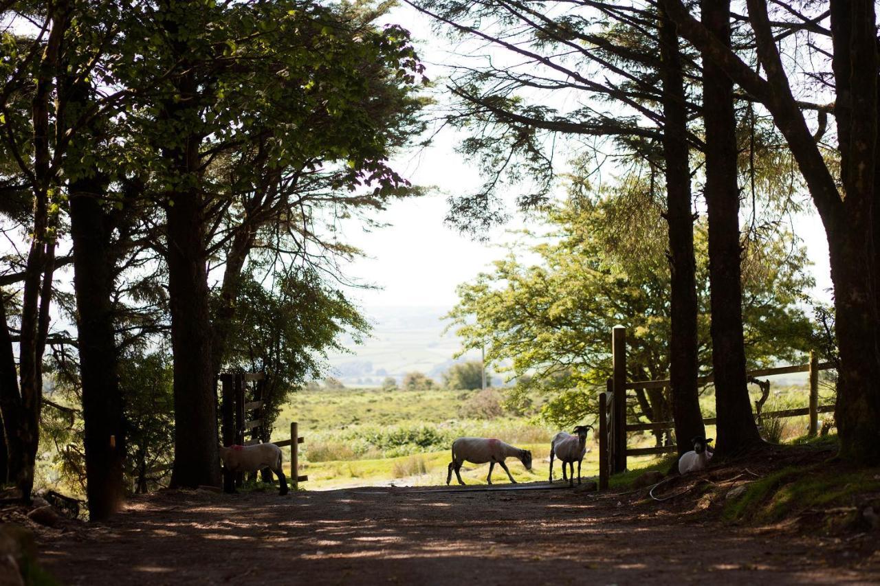 Wheal Tor Hotel & Glamping ลิสคาร์ด ภายนอก รูปภาพ